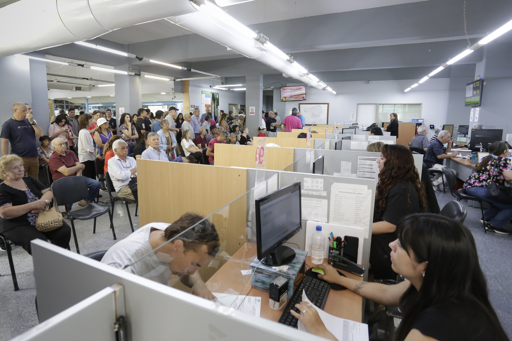 Contribuyentes2
