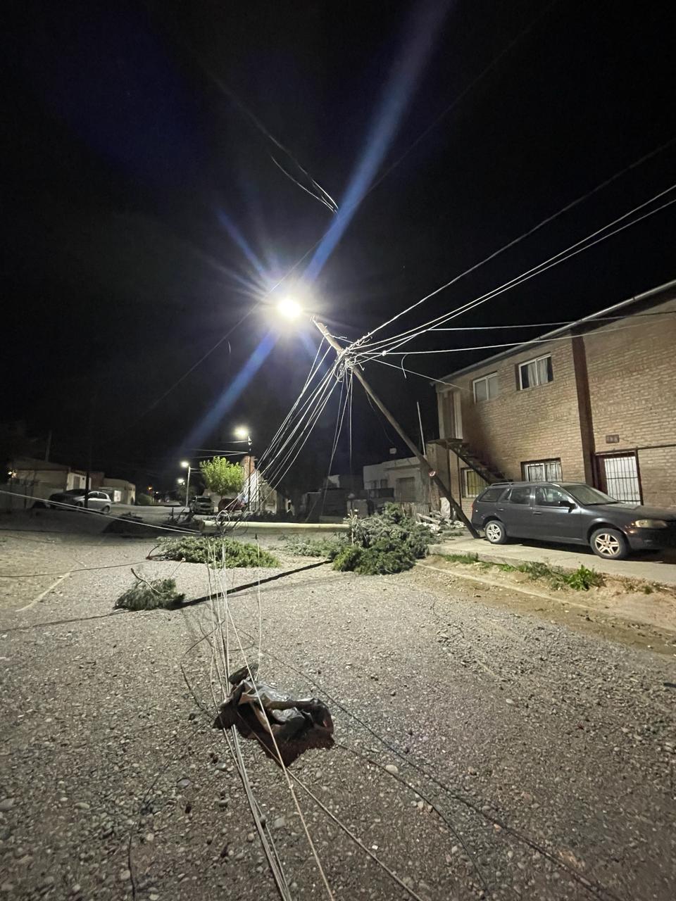 Pinos y poste de telefonía sobre red