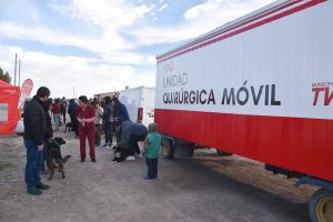 el área de Zoonosis del Municipio atenderá a los animales en inmediaciones del Jardín n.° 433. Los perros deben ser llevados con collar y correa, y los gatos contenidos en bolso o mochila.