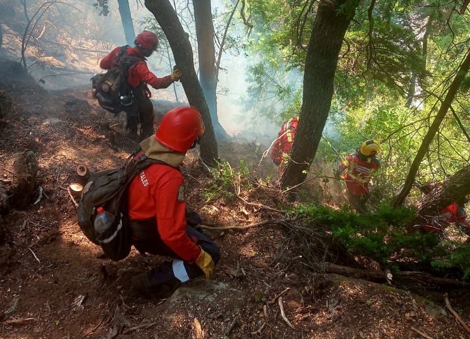 Se logró contener el incendio en sectores de Epuyén.