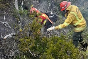 Brigadistas combaten los incendios en la coordillera.
