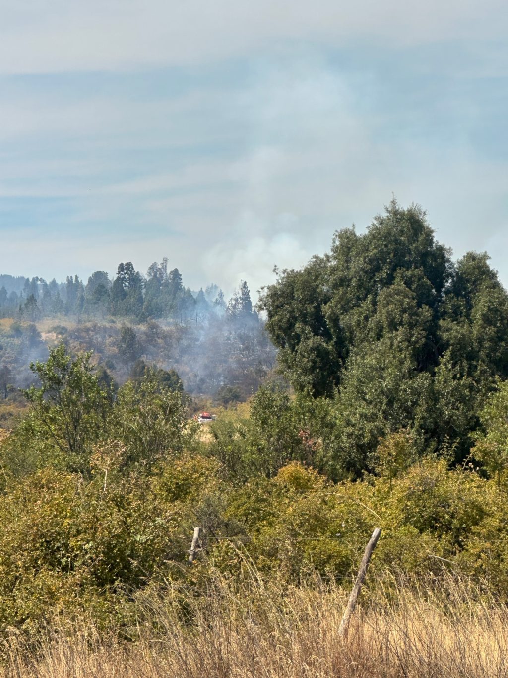 El Gobierno de Chubut informó que está estinguido el incendio forestal en Los Cipreses.