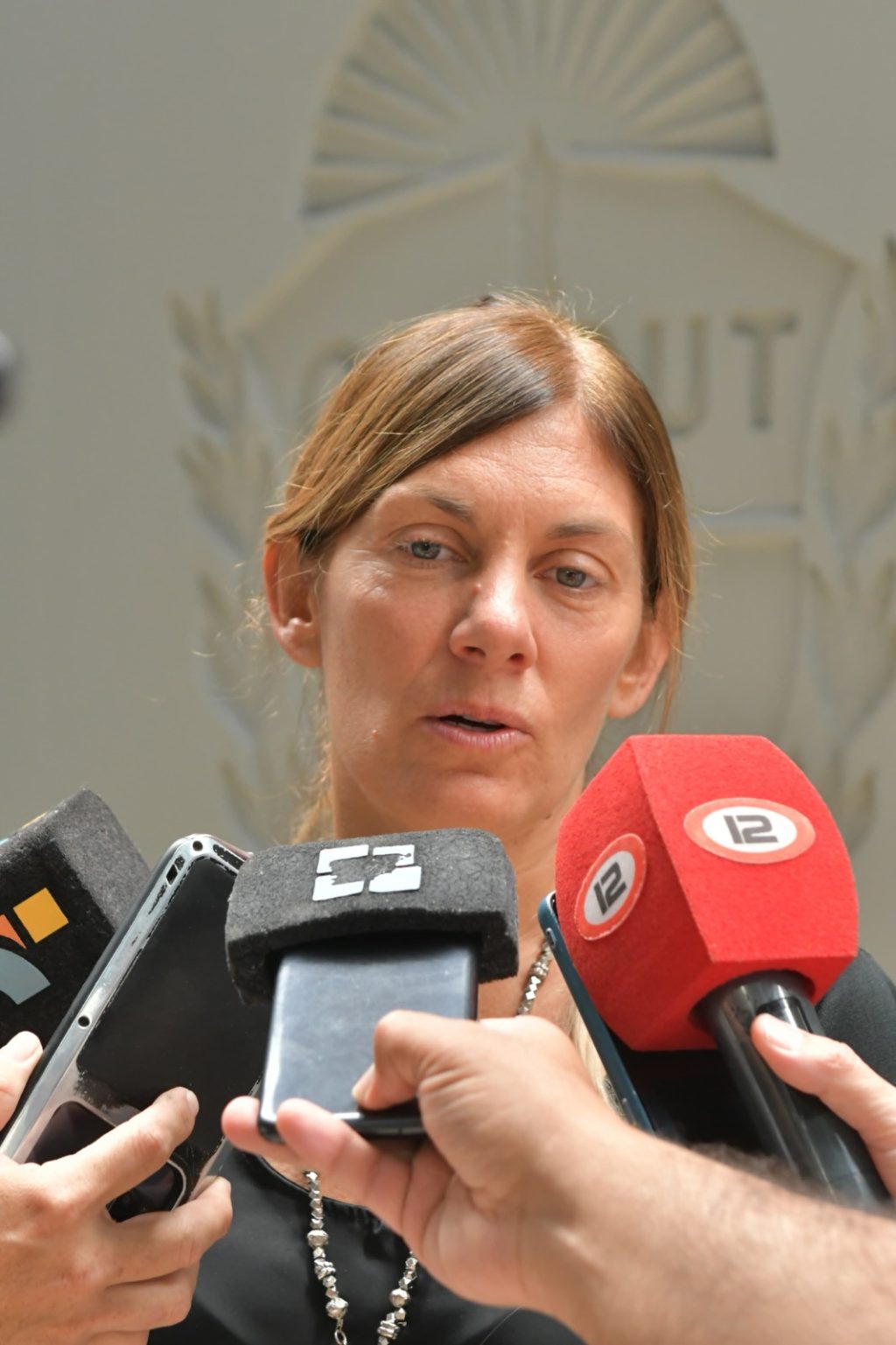 La Ministra de Desarrollo Humano, Florencia Papaiani, explicó los alcances del Plan Calor.