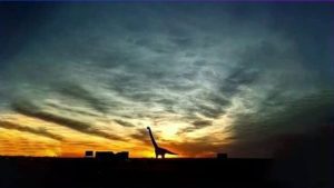 La imagen ganadora del concurso "Ciencia en Fotos".