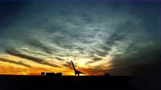 La imagen ganadora del concurso "Ciencia en Fotos".