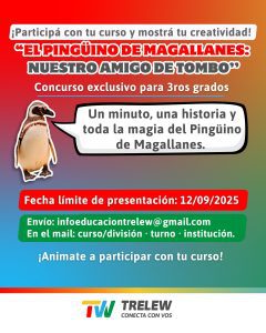 Se convoca a estudiantes de 3er grado para realizar videos para la Fiesta del Pingüino.