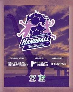 Provincial de Handball en el Valle.